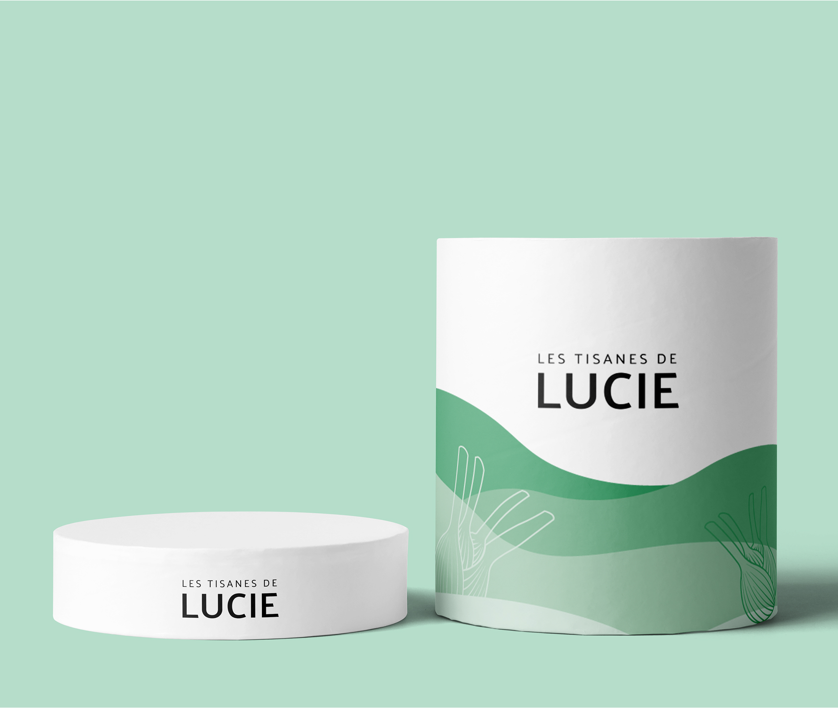 Image du projet de marketing les tisanes de lucie